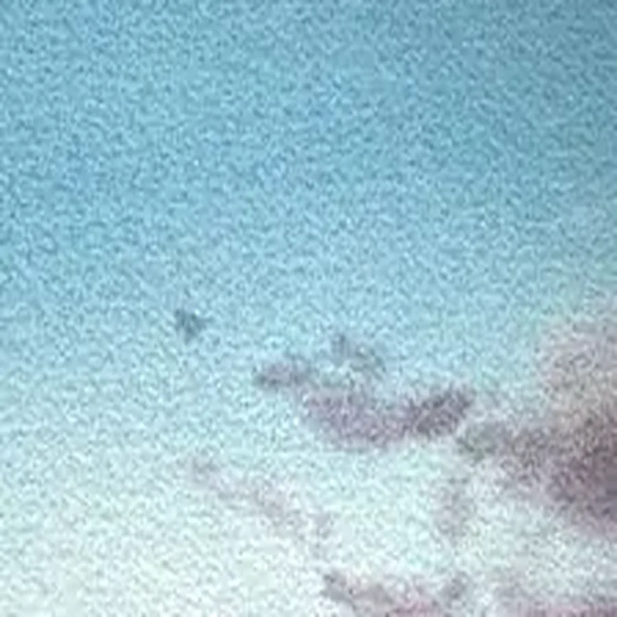 Détail 3, Après le soleil