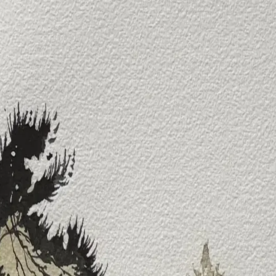 Détail 2, Crépuscule