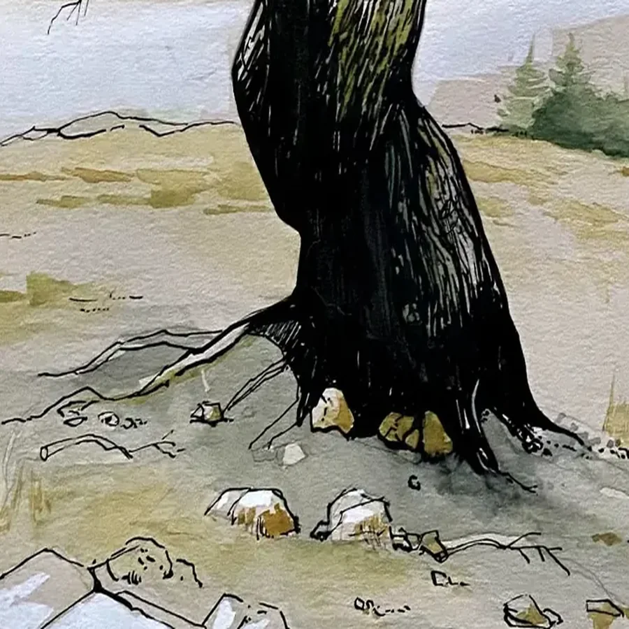 Détail 1, L'ancien