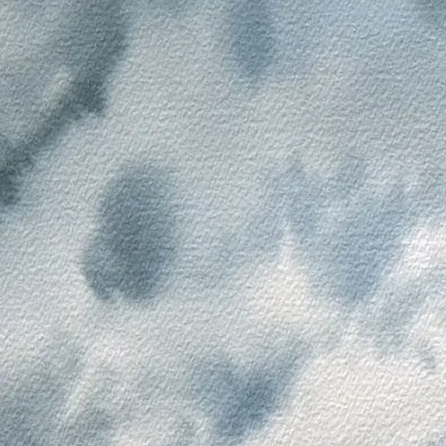 Détail 1, L'averse