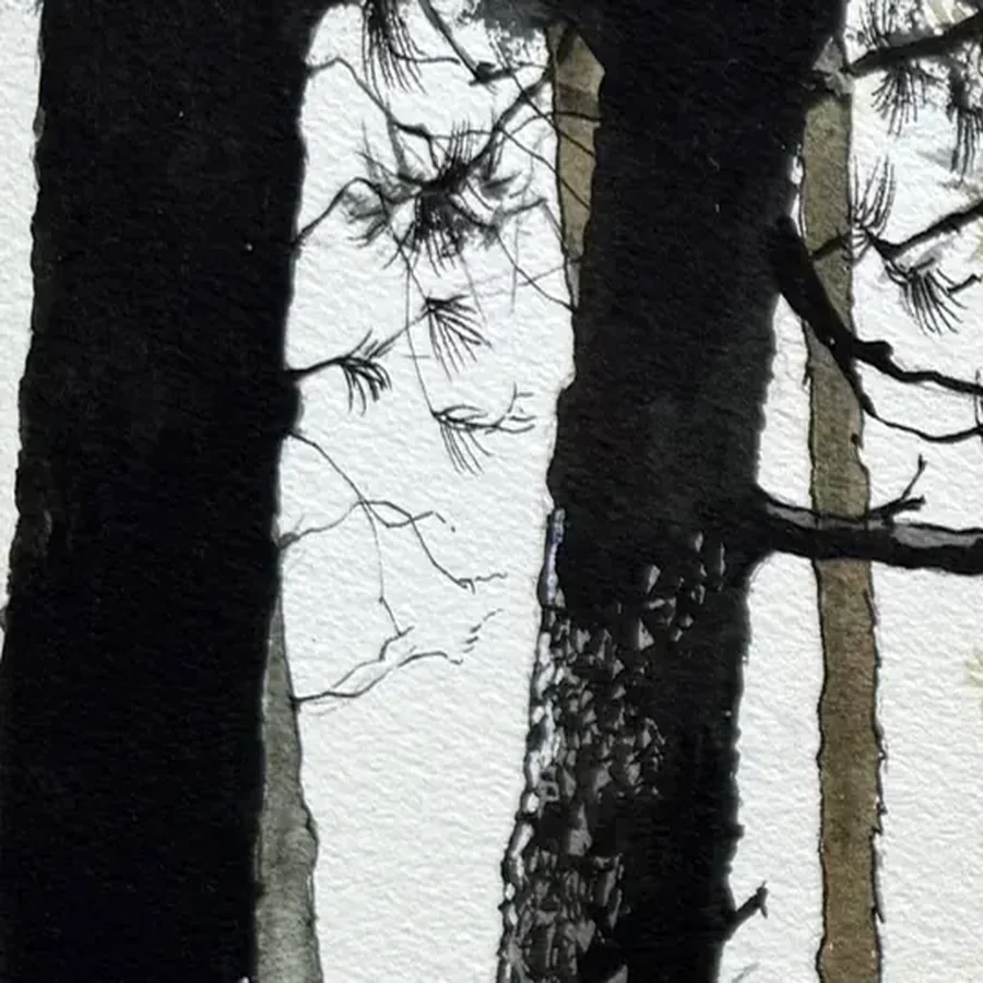 Détail 1, La lisière