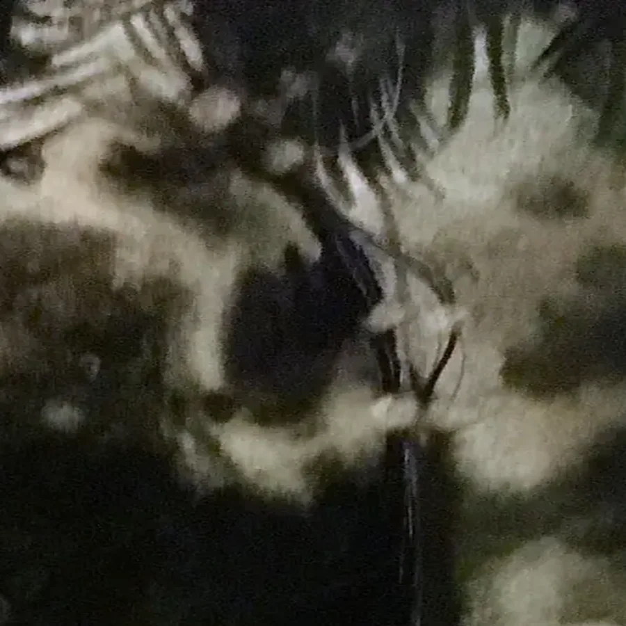 Détail 3, La lumière