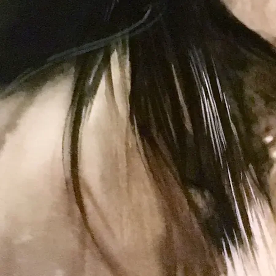 Détail 4, La lumière