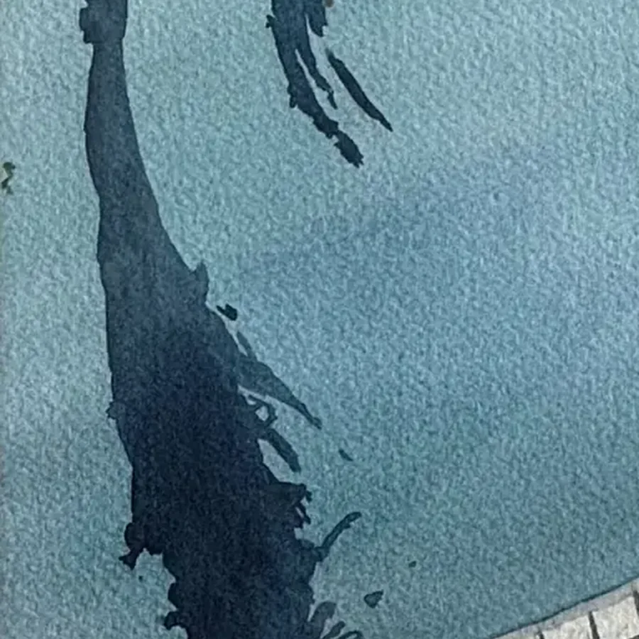 Détail 4, Le bassin