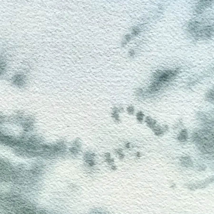 Détail 2, Le canal