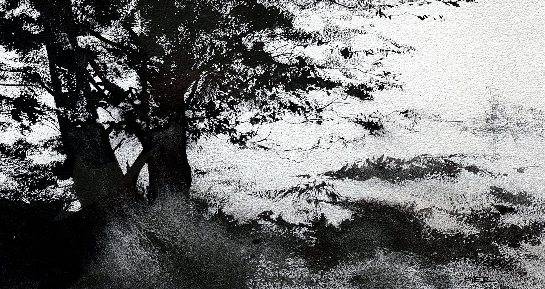 Le chêne, aquarelle de Pierre Renollet