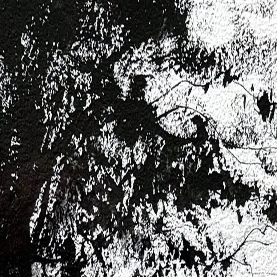 Détail 1, Le chêne