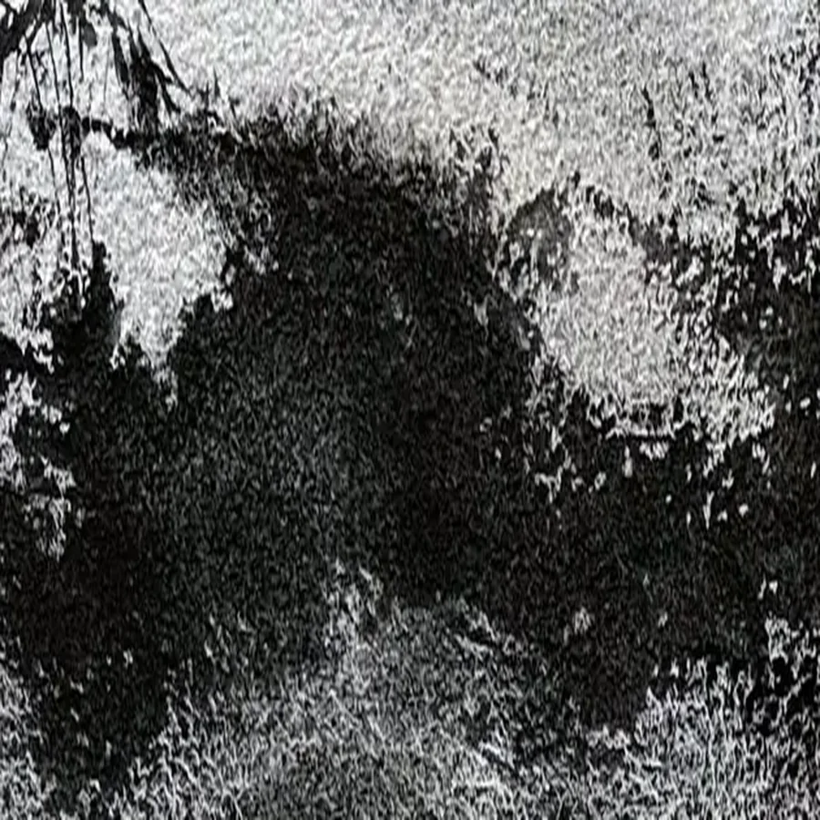 Détail 4, Le chêne