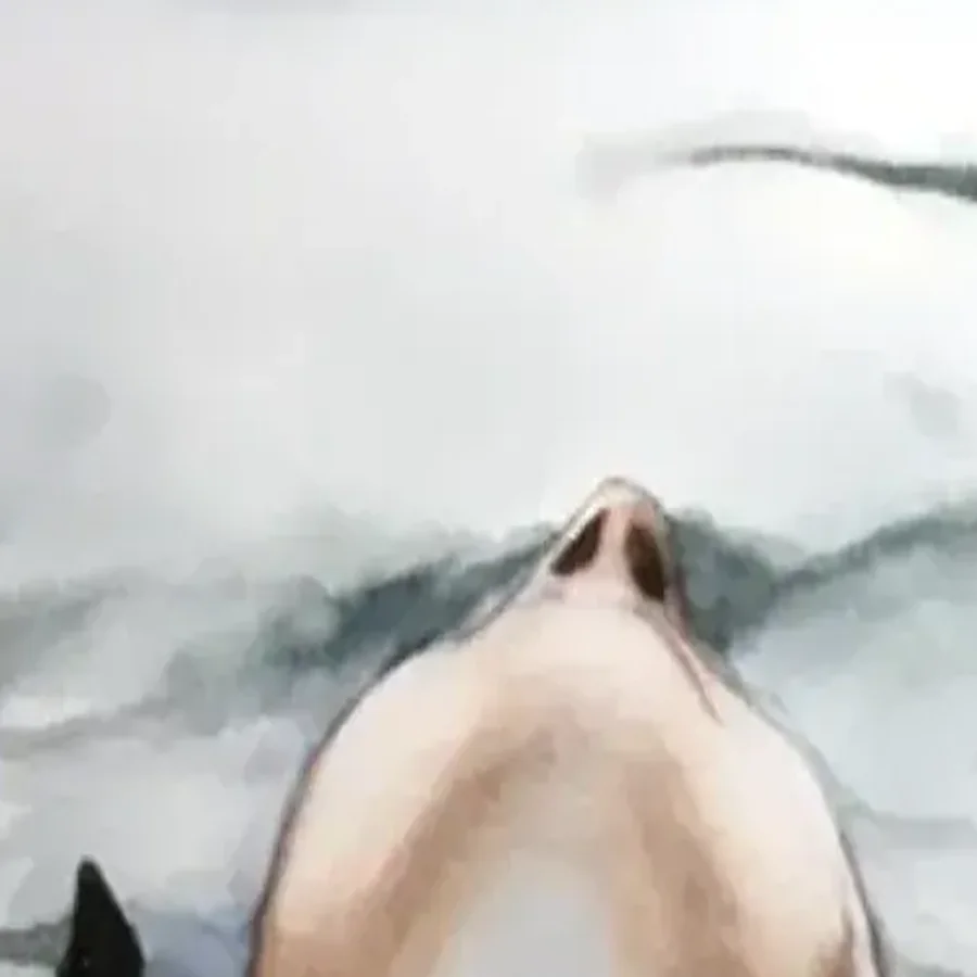 Détail 1, Le dos